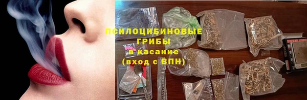 стафф Тында