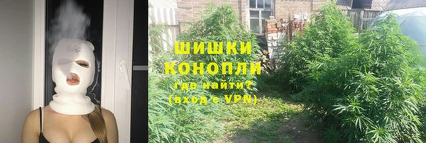 spice Володарск