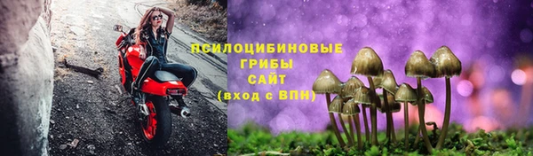 Альфа ПВП Тутаев