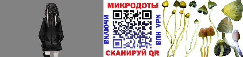 дарк нет какой сайт  Снежинск  Галлюциногенные грибы Psilocybe 