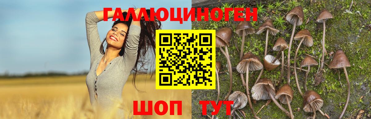 Псилоцибиновые грибы мухоморы Снежинск